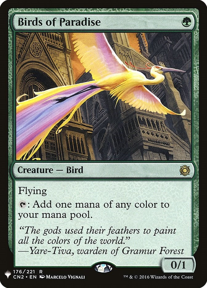 Birds of Paradise [LIST - 176]