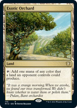 Exotic Orchard [MIC - 173]
