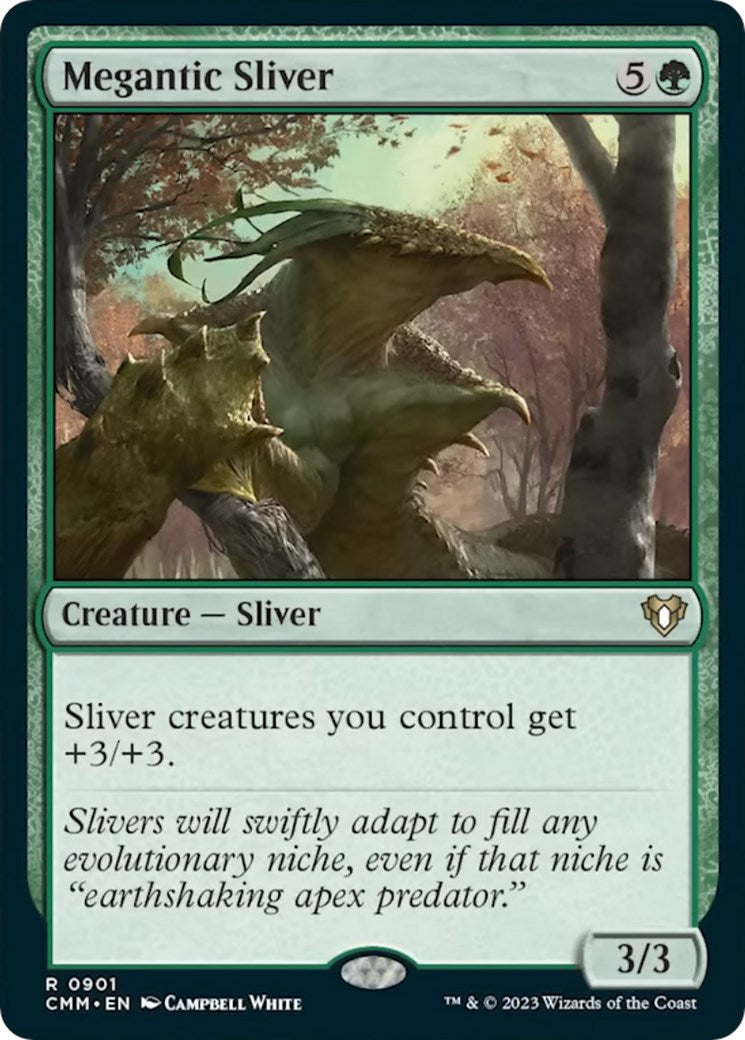 Megantic Sliver [CMM - 901]