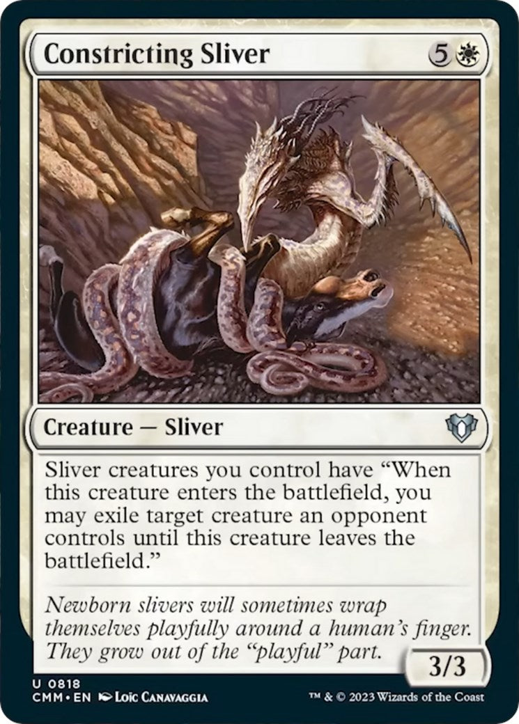 Constricting Sliver [CMM - 818]