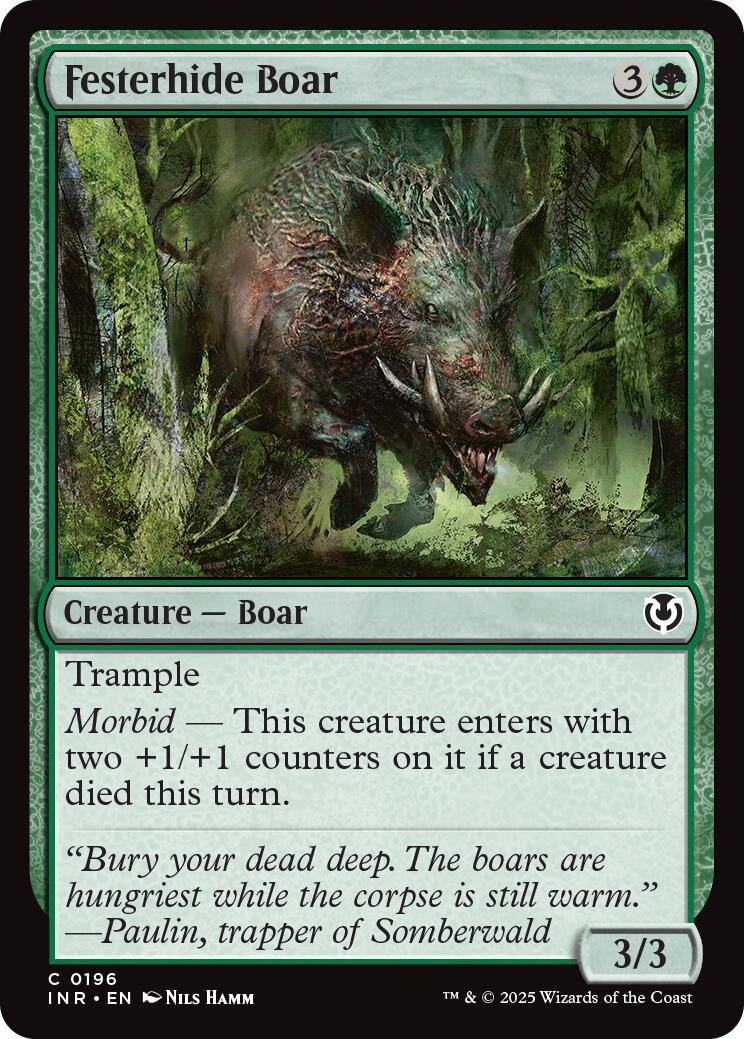 Festerhide Boar [INR - 196]