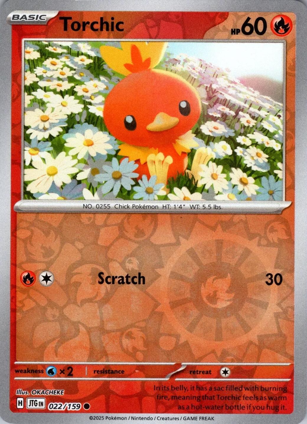 Torchic [JTG - 022/159]