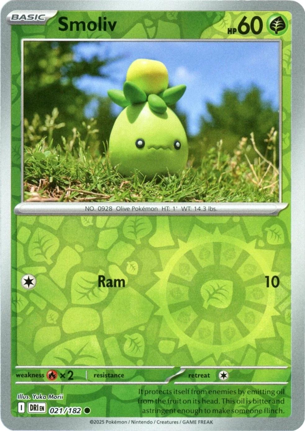Smoliv [DRI - 021/182]