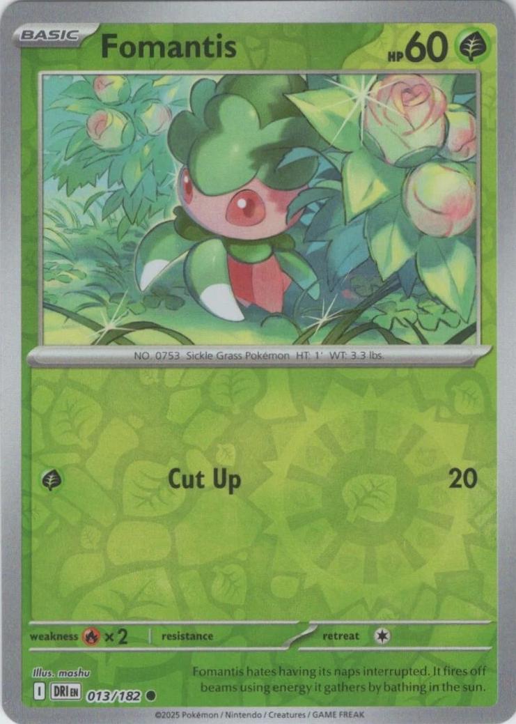 Fomantis [DRI - 013/182]
