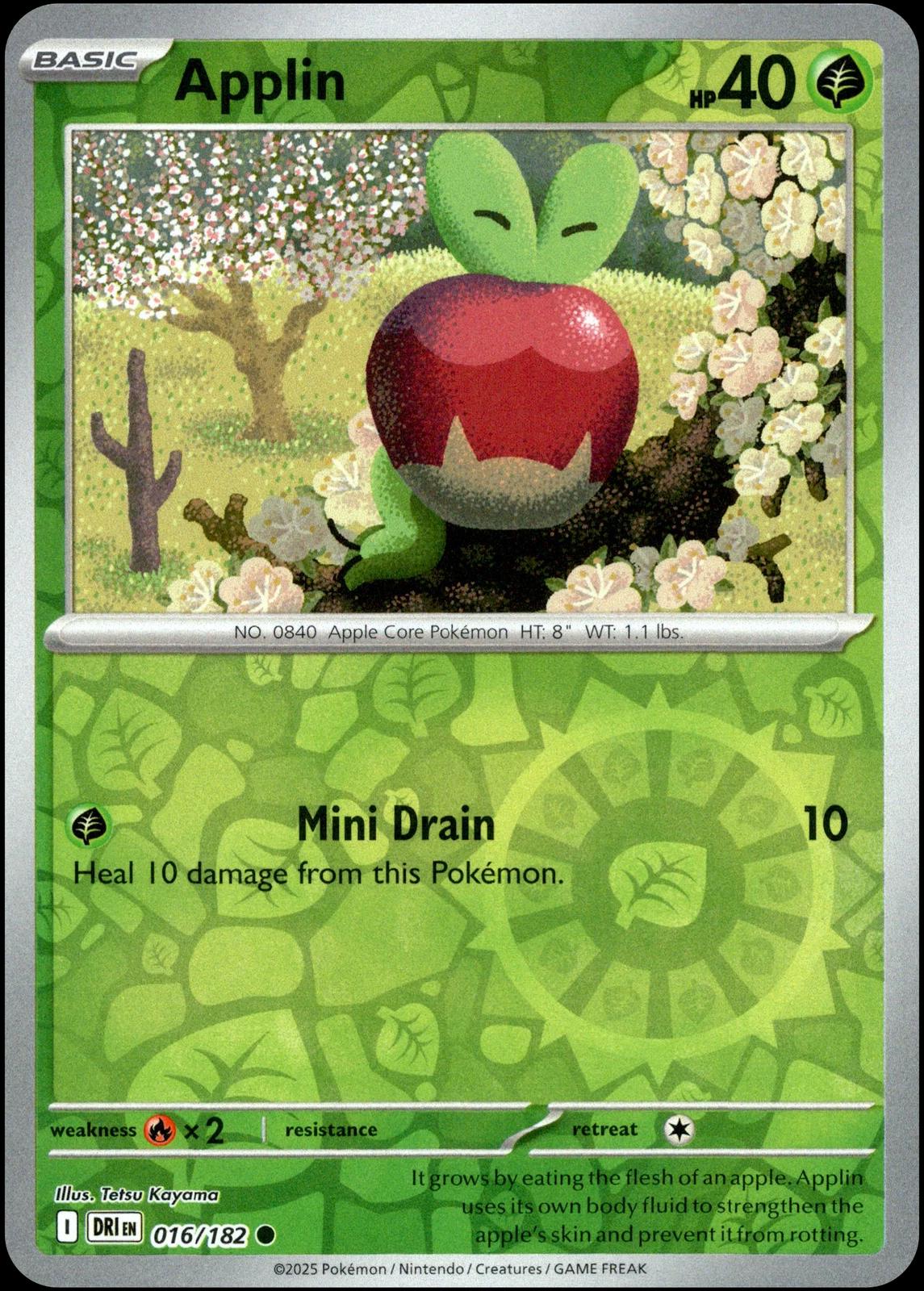 Applin [DRI - 016/182]