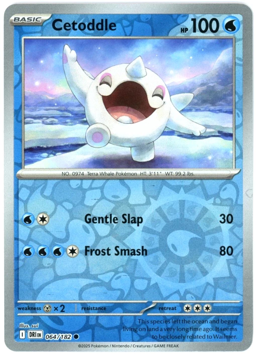 Cetoddle [DRI - 064/182]