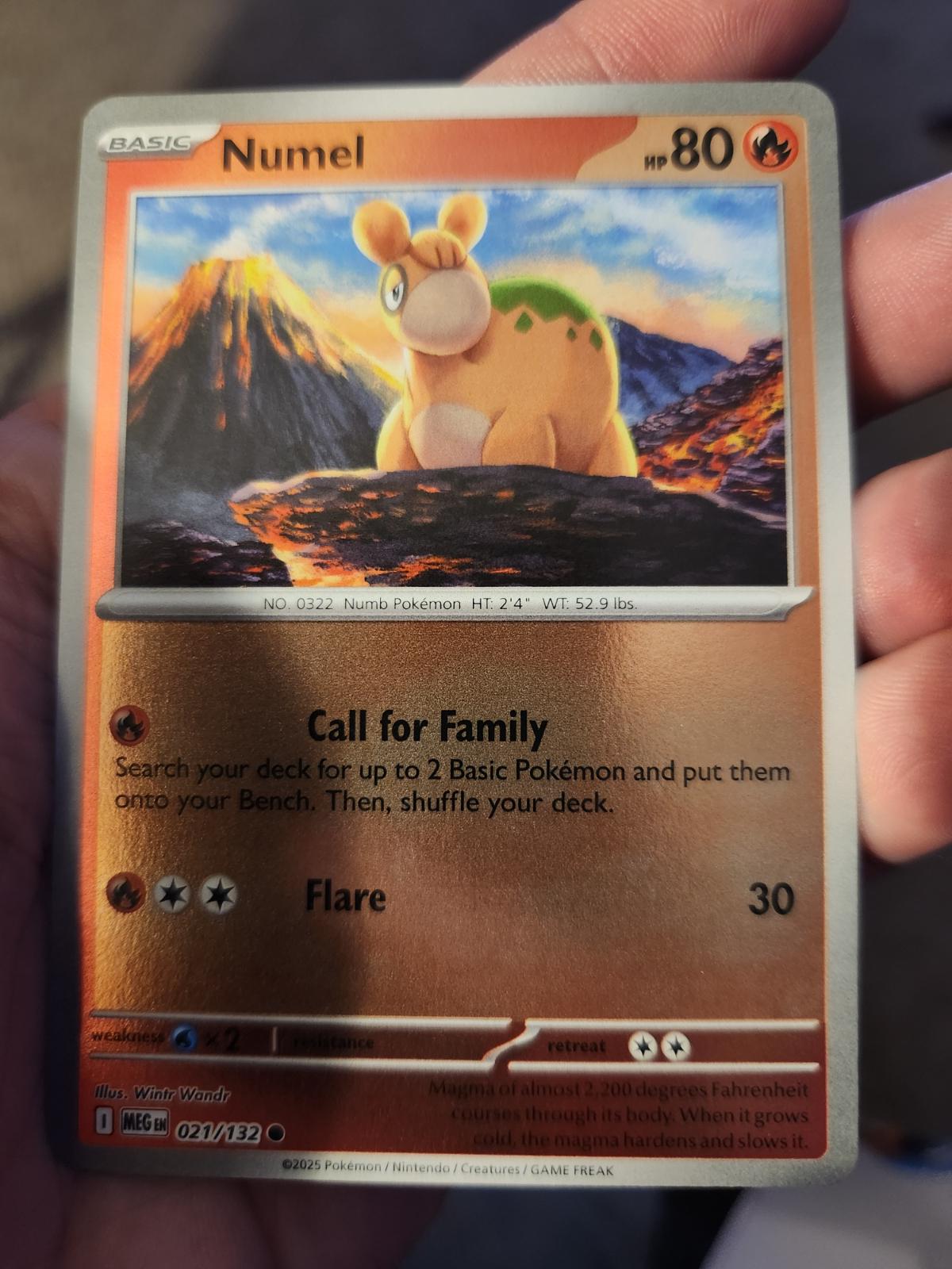 Numel [MEG - 021/132]