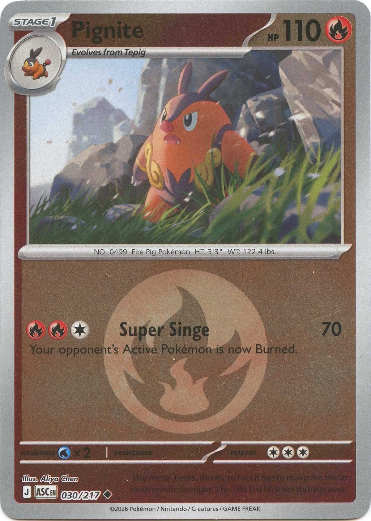 Pignite (Energy Symbol Pattern) [ASC - 030/217]