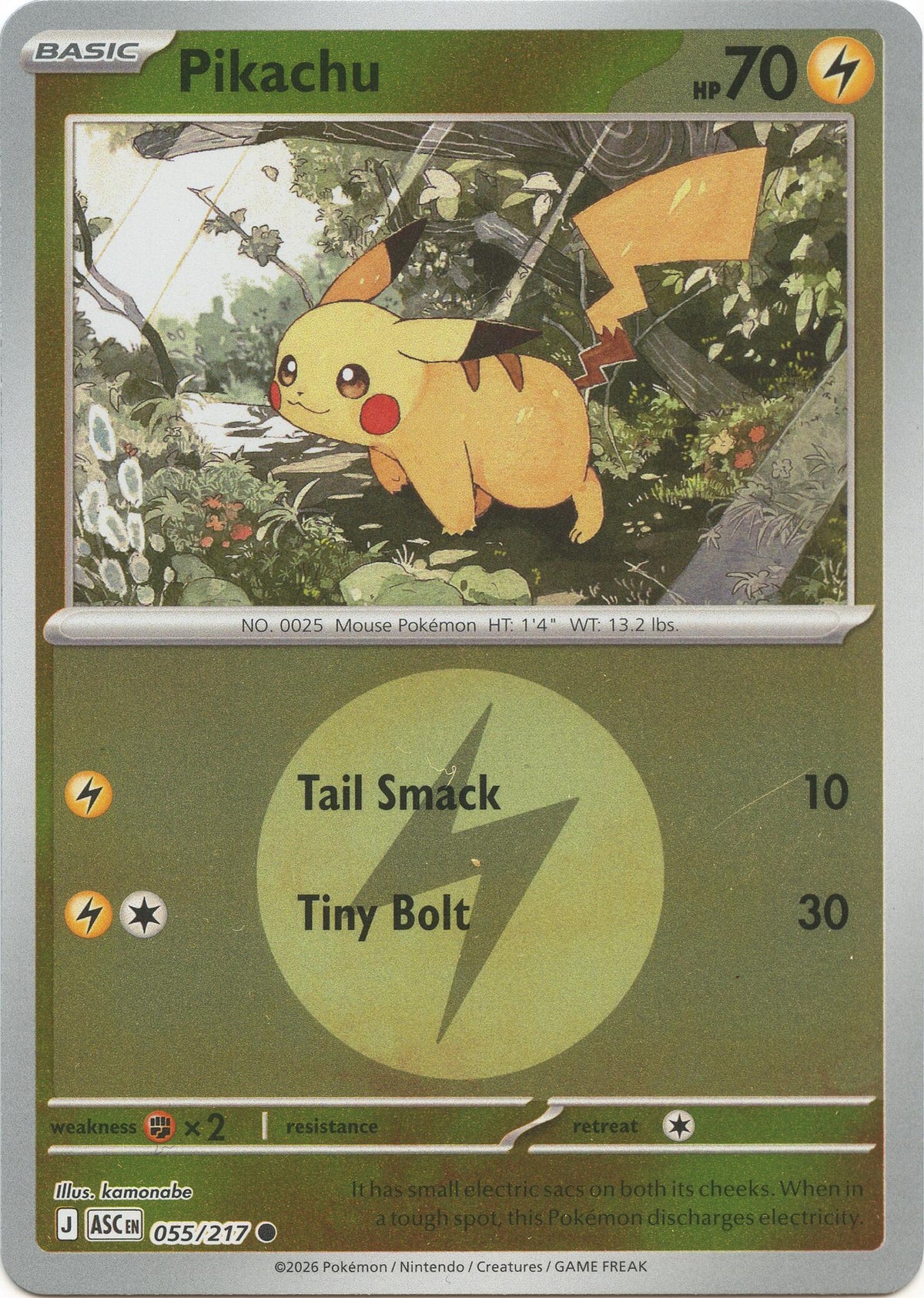 Pikachu (Energy Symbol Pattern) [ASC - 055/217]