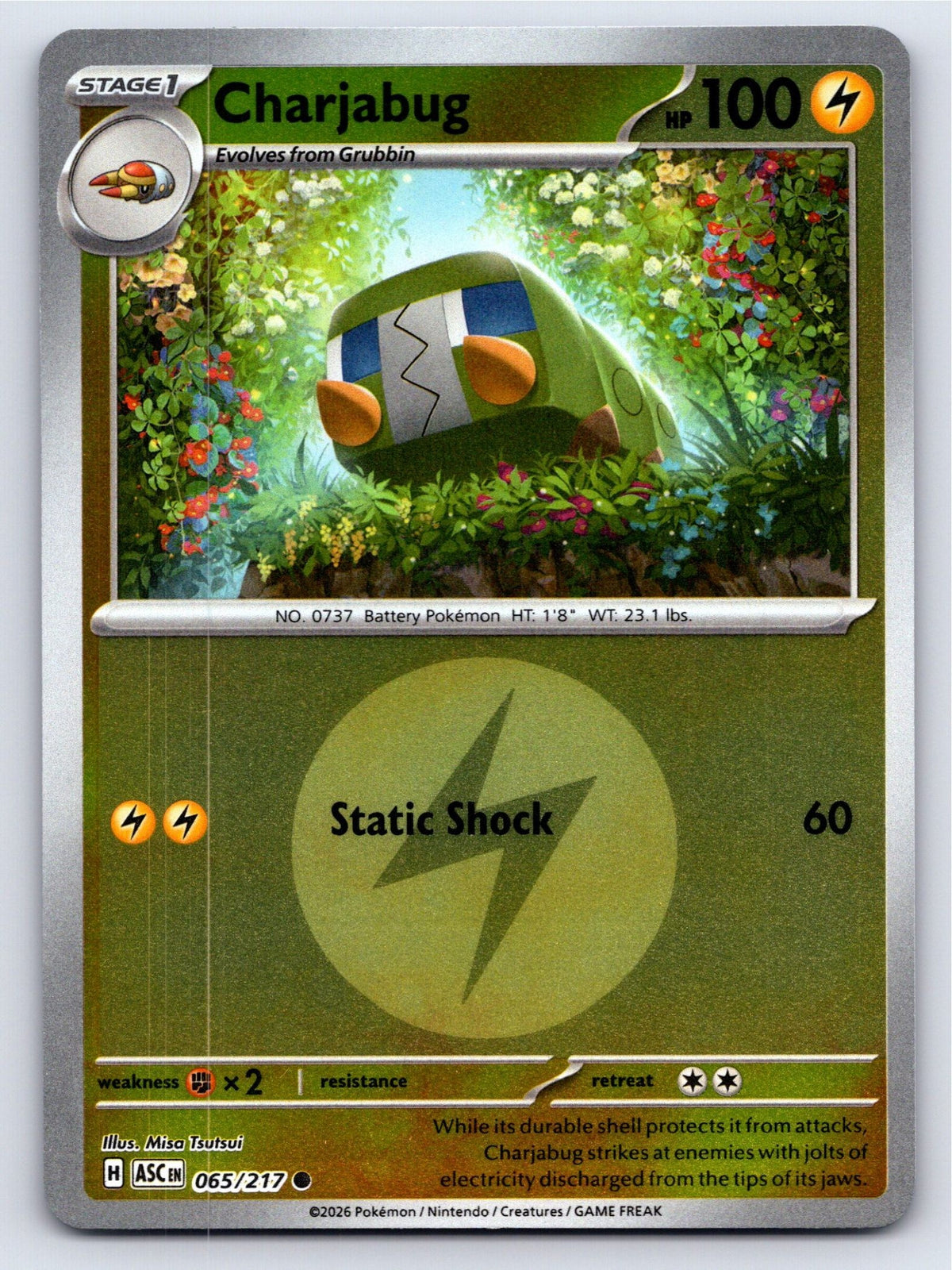 Charjabug (Energy Symbol Pattern) [ASC - 065/217]