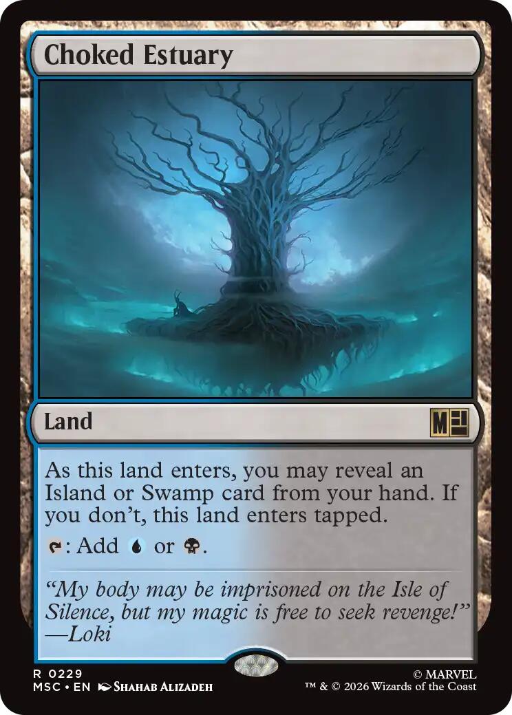 Choked Estuary [MSC - 229]